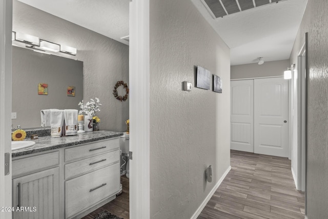 bathroom with vanity and wood-type flooring