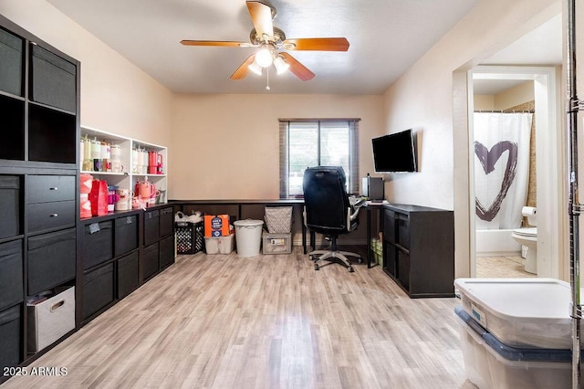 office space featuring light wood-type flooring and ceiling fan