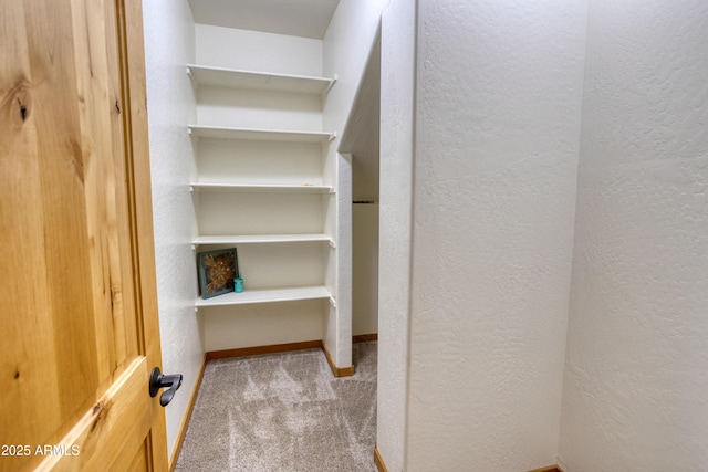 702 Flag Hollow Rd, Pinetop-Lakeside, AZ 85929 - walk in closet with carpet floors