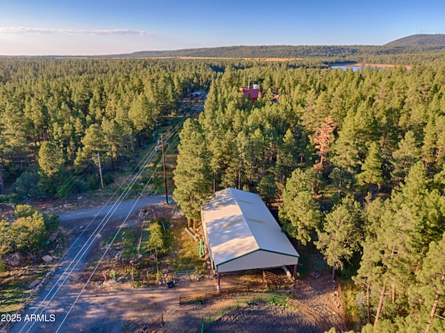 702 Flag Hollow Rd, Pinetop-Lakeside, AZ 85929 - bird's eye view of a heavily wooded area