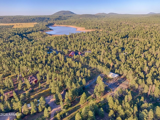 702 Flag Hollow Rd, Pinetop-Lakeside, AZ 85929 - aerial view of property's location with a heavily wooded area and a water and mountain view