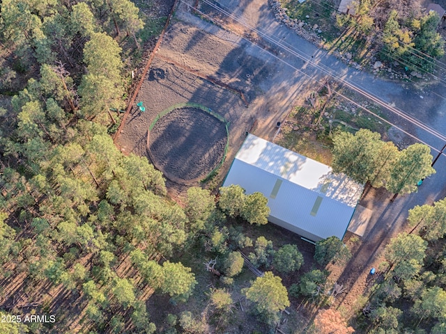 702 Flag Hollow Rd, Pinetop-Lakeside, AZ 85929 - aerial view of property's location
