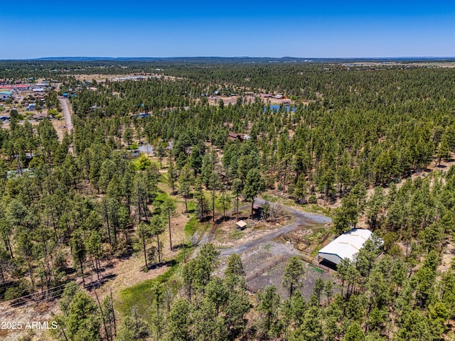 702 Flag Hollow Rd, Pinetop-Lakeside, AZ 85929 - bird's eye view of a forest