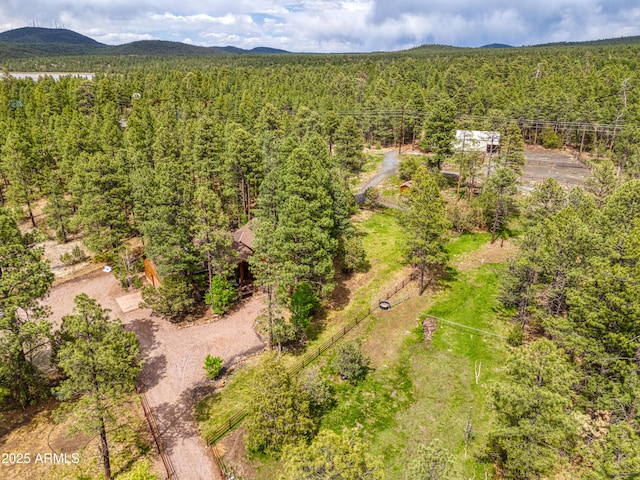702 Flag Hollow Rd, Pinetop-Lakeside, AZ 85929 - drone / aerial view of a heavily wooded area and mountains