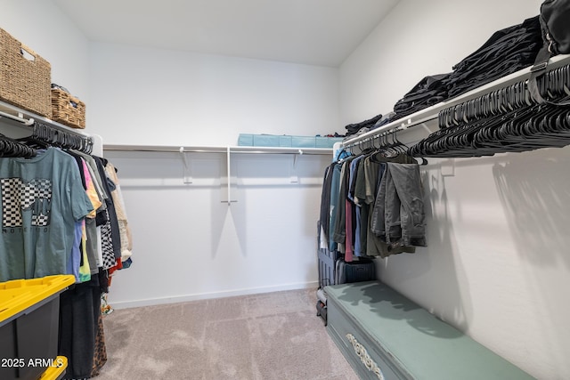 spacious closet with carpet