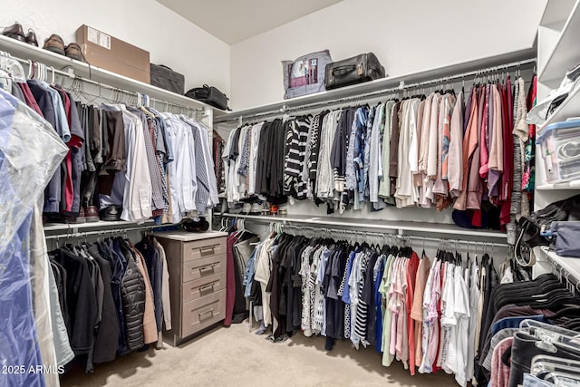 18021 N 53rd St, Scottsdale, AZ 85254 - spacious closet with carpet