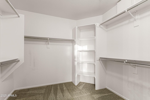 3152 N 83rd Pl, Scottsdale, AZ 85251 - walk in closet featuring carpet