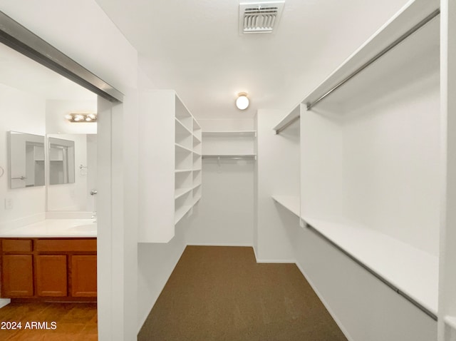 spacious closet featuring sink