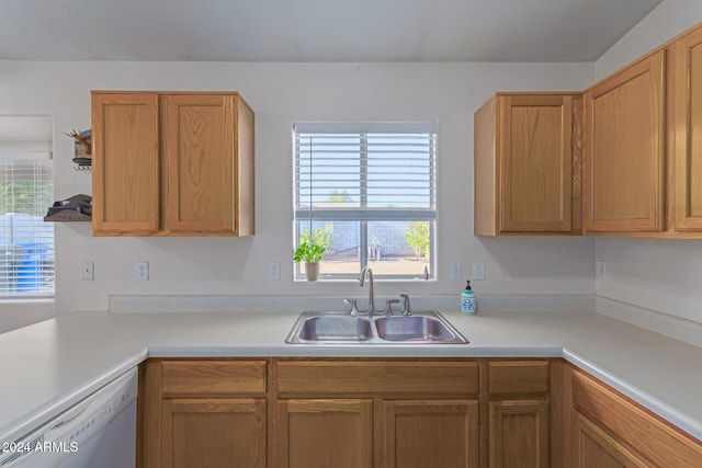 kitchen featuring white dishwasher, plenty of natural light, and sink