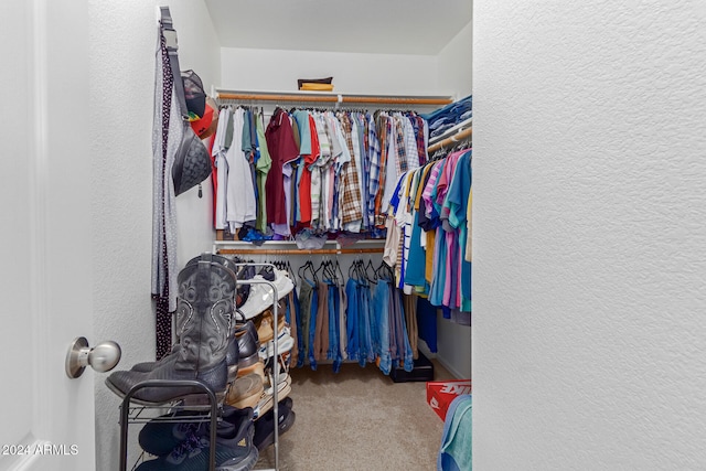 spacious closet featuring carpet floors