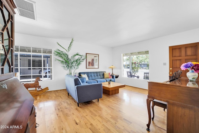 living room featuring light hardwood / wood-style flooring