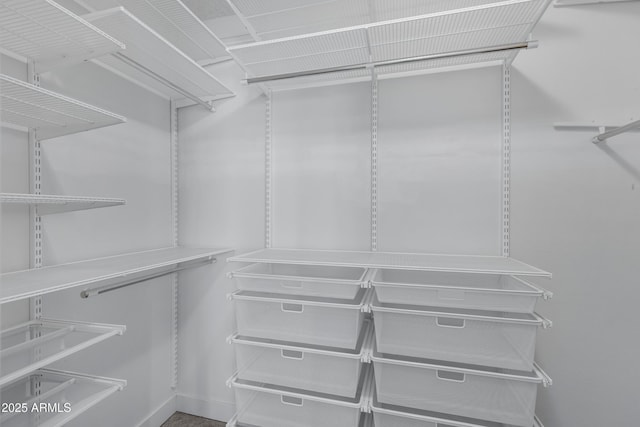 view of spacious closet