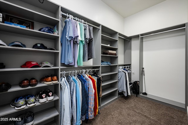 spacious closet with carpet floors