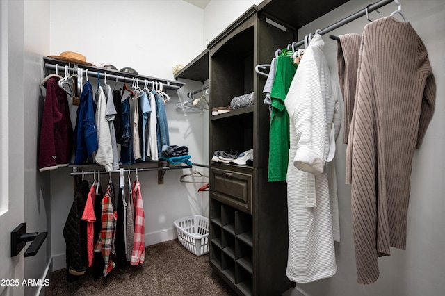 spacious closet with carpet floors