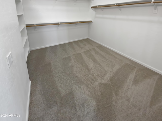 spacious closet with carpet flooring