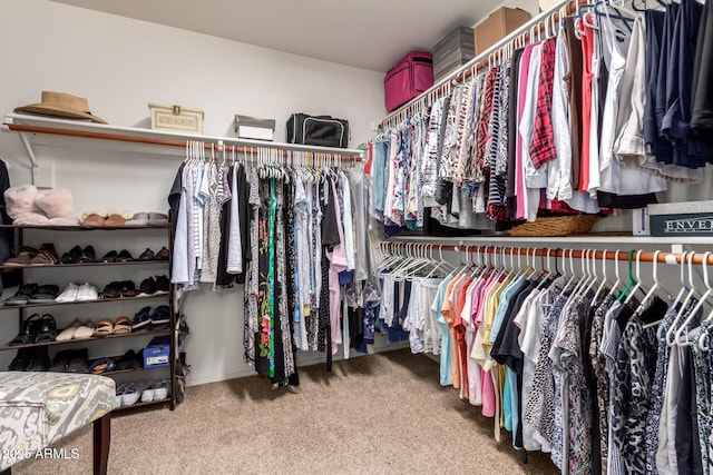 11318 S Hopi Dr, Goodyear, AZ 85338 - spacious closet with carpet flooring