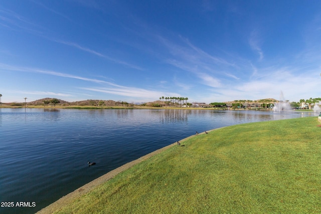 11318 S Hopi Dr, Goodyear, AZ 85338 - water view