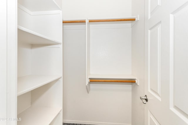 view of spacious closet