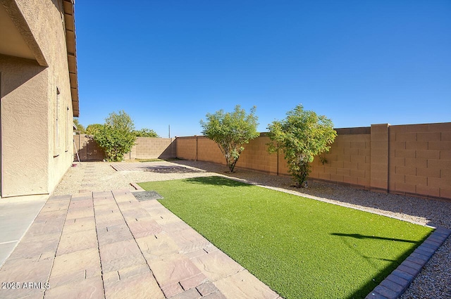 view of yard featuring a patio area