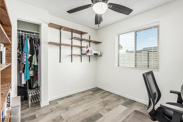 18818 N 12th Ave, Phoenix, AZ 85027 - unfurnished office with a textured ceiling, ceiling fan, and light wood-style floors
