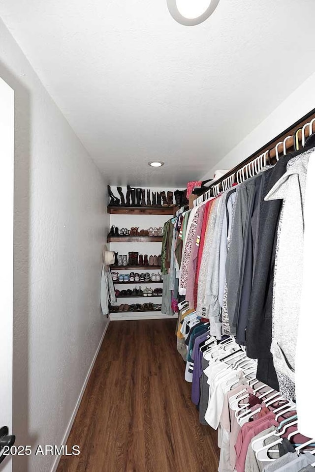 walk in closet featuring wood finished floors