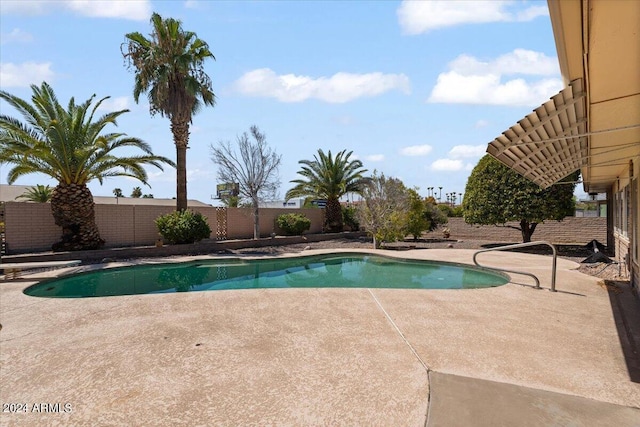 view of pool with a patio area