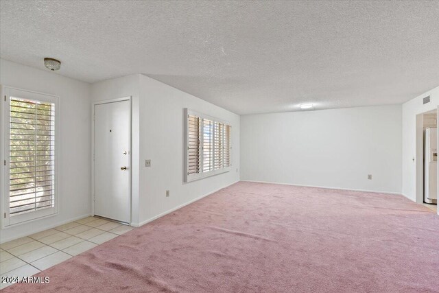 carpeted spare room with a textured ceiling and a healthy amount of sunlight