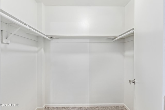 spacious closet with carpet floors