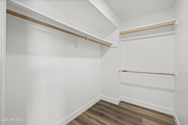 walk in closet with dark hardwood / wood-style flooring