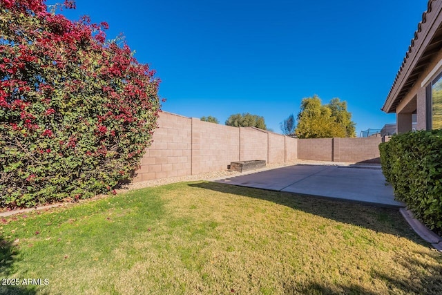 view of yard featuring a patio