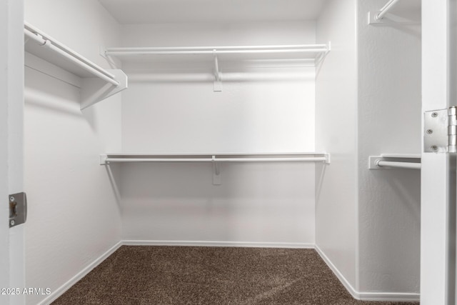 walk in closet featuring carpet