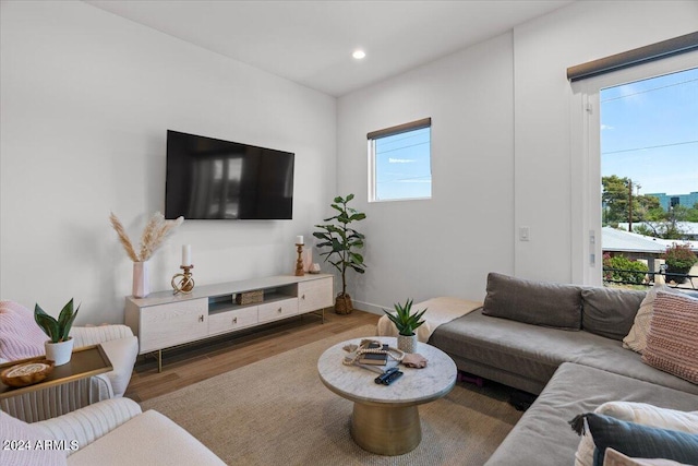 living room featuring hardwood / wood-style flooring