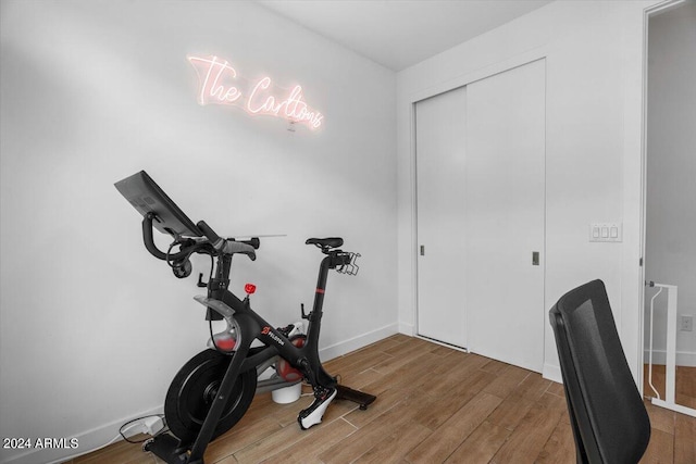 workout room featuring wood-type flooring