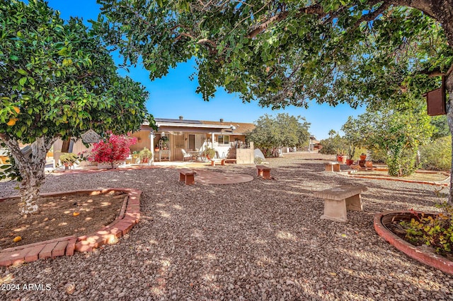 view of yard featuring a patio