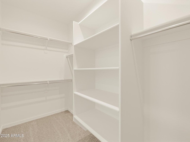 walk in closet featuring carpet floors