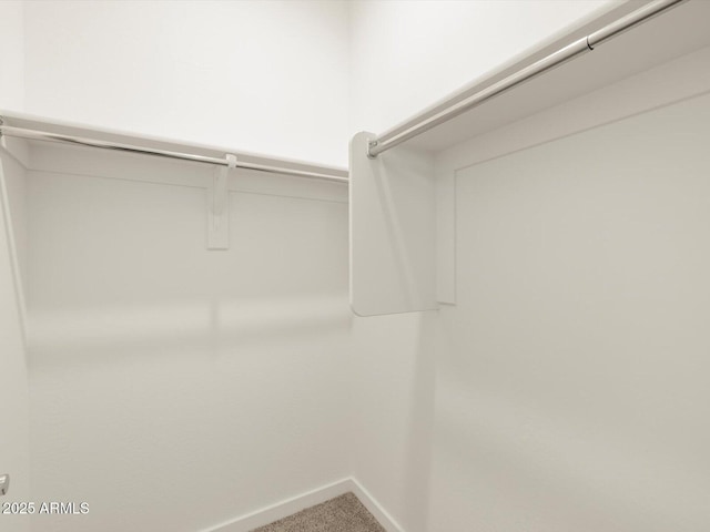 walk in closet with carpet flooring