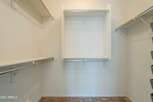 walk in closet with carpet floors