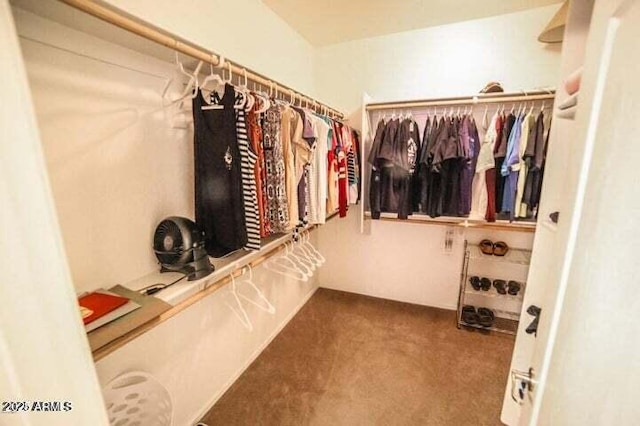 6731 S 37th Dr, Phoenix, AZ 85041 - walk in closet with carpet floors