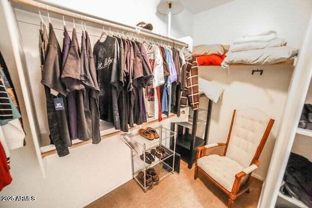 6731 S 37th Dr, Phoenix, AZ 85041 - view of walk in closet
