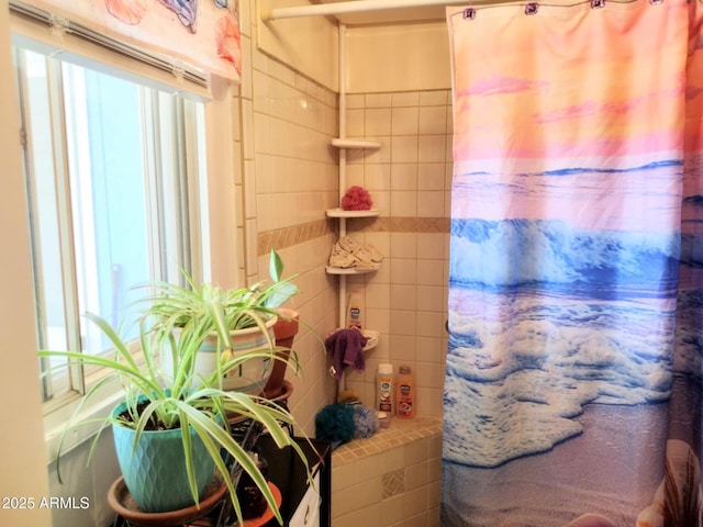 111 W 9th St, Ajo, AZ 85321 - bathroom with healthy amount of natural light and a shower with shower curtain