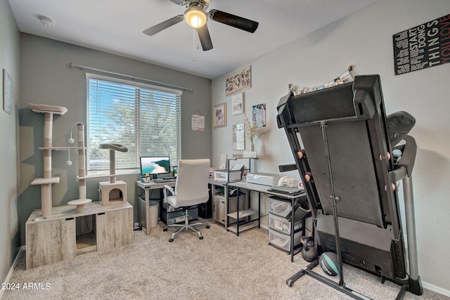 carpeted office featuring ceiling fan