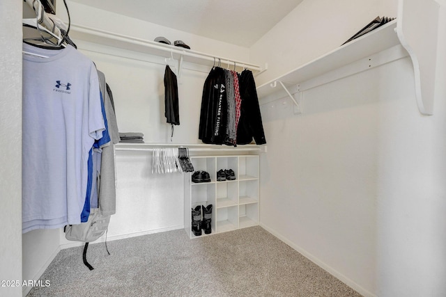 walk in closet featuring carpet flooring