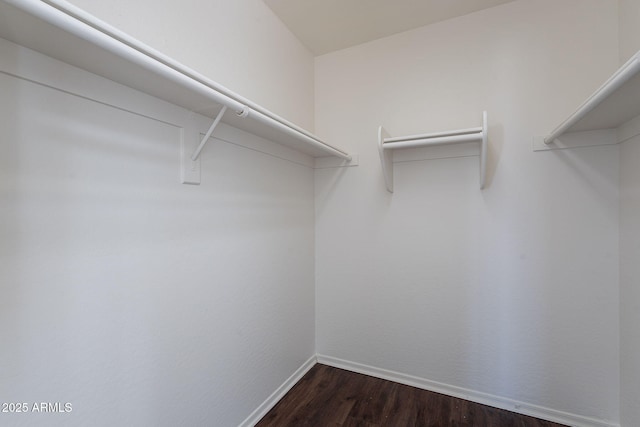 30944 N Bramwell Ave, San Tan Valley, AZ 85143 - walk in closet featuring dark wood-style flooring