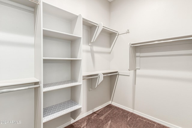 spacious closet with dark colored carpet