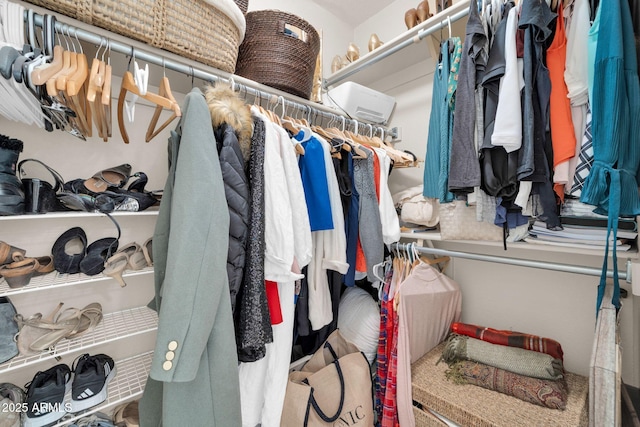 view of walk in closet