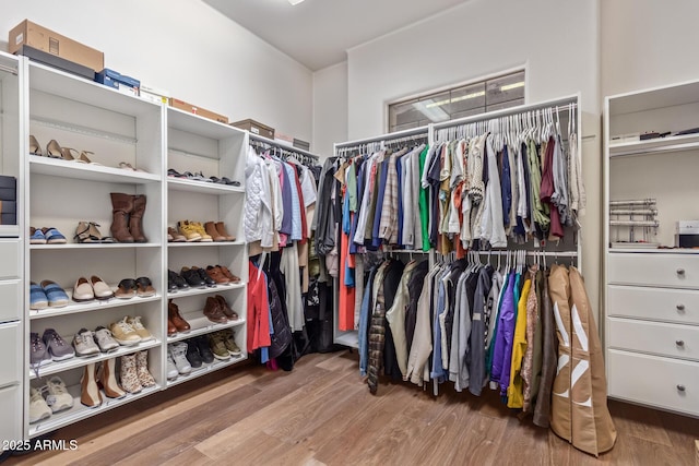 14619 E Desert Vista Trl, Scottsdale, AZ 85262 - walk in closet with wood finished floors
