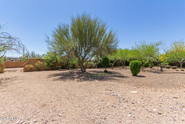 14619 E Desert Vista Trl, Scottsdale, AZ 85262 - view of yard