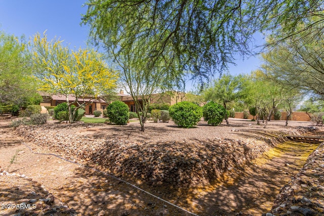 14619 E Desert Vista Trl, Scottsdale, AZ 85262 - view of yard