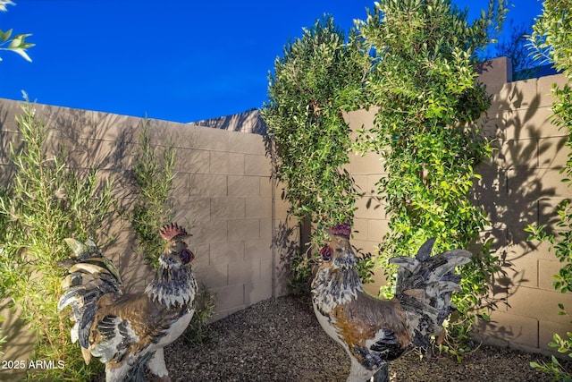 20797 W Rattler Rd, Buckeye, AZ 85396 - view of fenced backyard