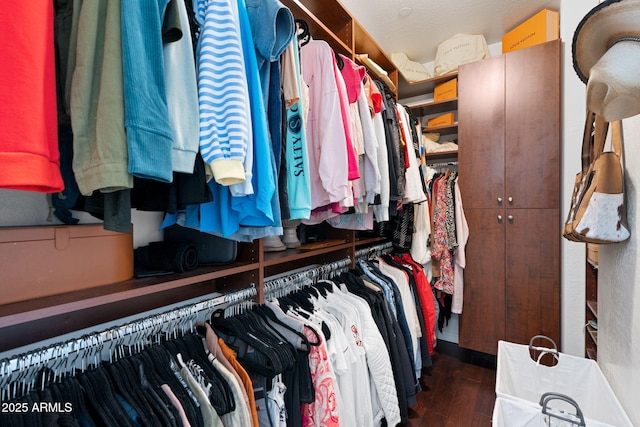 walk in closet featuring wood finished floors